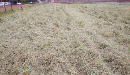 Terreno à venda em Londrina, Dom Pedro I, com 7258 m²