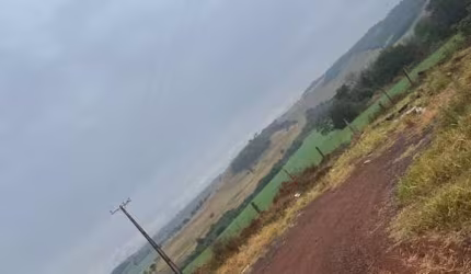 Sítio à venda em Londrina, Jardim Maravilha, com 0 suíte, com 192000 m²