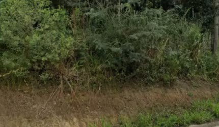 Terreno rua Martim Pescador em área industrial