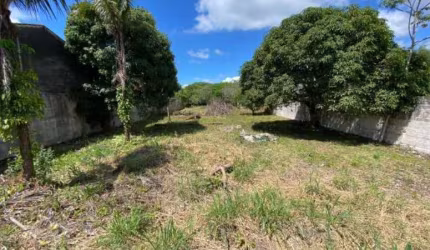 Comercial para Locação em Itanhaém, Balneário Gaivota