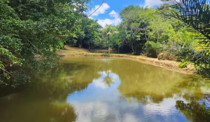 SÍTIO ECOLÓGICO C/ 27.500 M² C/ FONTE DE ÁGUA MINERAL, VIZINHO AO ALPHAVILLE LITORAL NORTE lll