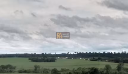 Área para Venda em Foz do Iguaçu, Arroio Dourado