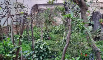 Casa com 3 quartos à venda na Avenida Doutor Hugo Beolchi, --, Jabaquara, São Paulo, 140 m2 por R$ 954.000