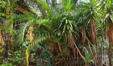 Casa com 2 quartos à venda na Rua Jaricunas, --, Vila Romana, São Paulo, 140 m2 por R$ 1.400.000
