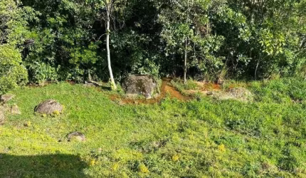 Sítio 1.500m2 Sto Amaro da Imperatriz 82748