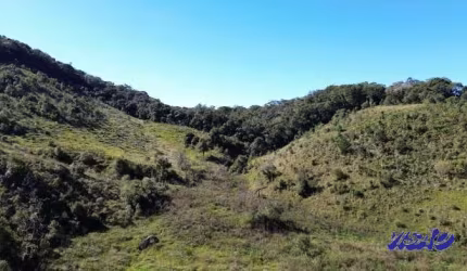 Terreno 249.000m2 Rancho Queimado 8347