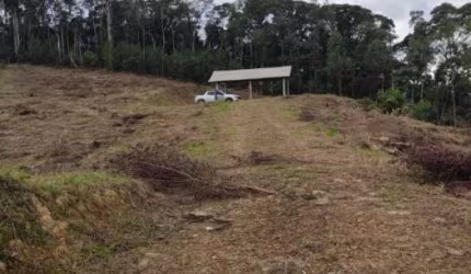 Terreno 21.000m2 São Pedro de Alcantara 8342