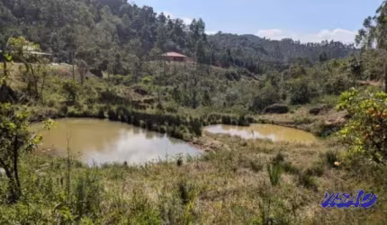 Sítio 30.000m2 Anitápolis 82789