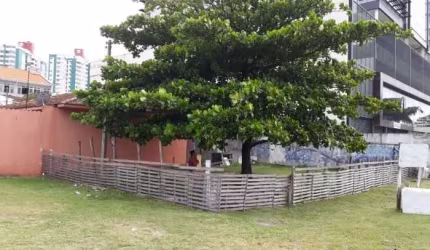 Terreno - Campinas - 7323