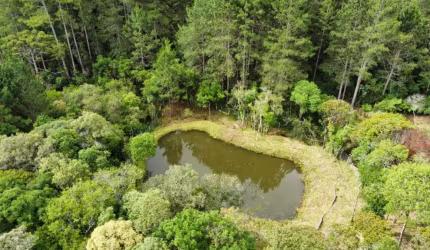 ÁREA A VENDA APROXIMADAMENTE 4.000m2