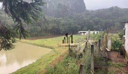 Chácara com 2 casas, à venda, 31464 m² - Centro - Mandirituba/PR
