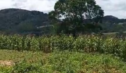 Terreno à venda, 28000 m²  Bateias - Campo Largo/PR