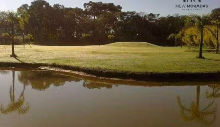 Chácara à venda, 5.000 m² - Capuava - Colônia Rodrigues - Campo Magro,