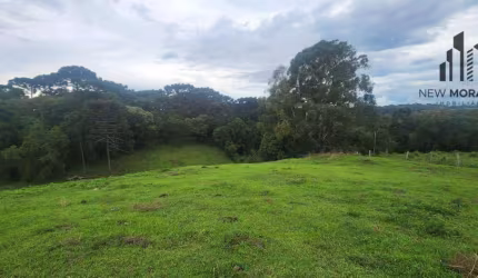 Terreno à venda- Campina da Barra - Araucária/PR