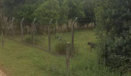Terreno à venda, 23700 m² por R$ 200.000,00 - Area Rural - São José dos Pinhais/PR