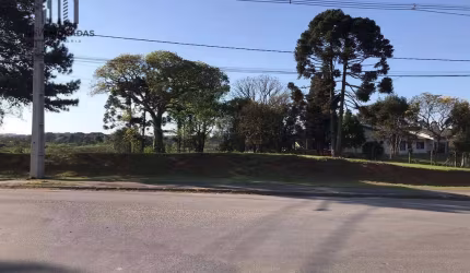 Terreno à venda, 1400 m² por R$ 1.550.000 - Veneza - Fazenda Rio Grande/PR