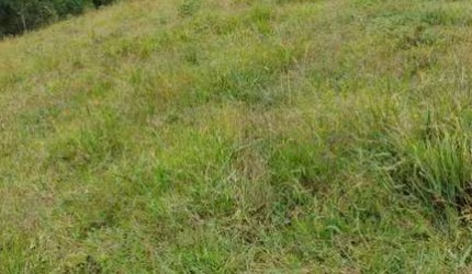 Chácara com 2 dormitórios à venda, 60000 m² por R$ 600.000 - Zoneamento e Uso do Solo Urbano - Lapa/PR