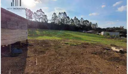 Chácara com 2 dormitórios à venda, 10000 m² por R$ 350.000 - Zona Rural - Tijucas do Sul/PR