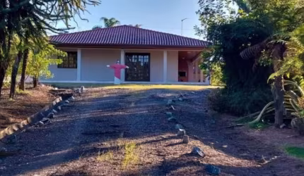 Chácara com Granja Aviária pronta pra uso - Lapa/PR