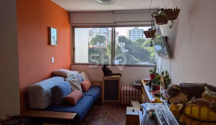 Apartamento com 2 quartos à venda na Rua Ibiraçu, 76, Vila Madalena, São Paulo por R$ 670.000
