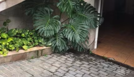 Casa com 3 quartos à venda na Rua José de Albuquerque Medeiros, 894, Água Fria, São Paulo por R$ 1.500.000