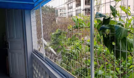 Casa com 2 quartos à venda na Rua Sacadura Cabral, 129, Lapa, São Paulo por R$ 449.000