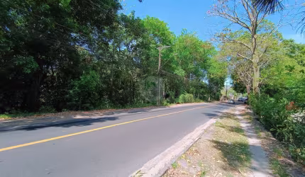 Terreno a venda no bairro Novo Aleixo, Manaus