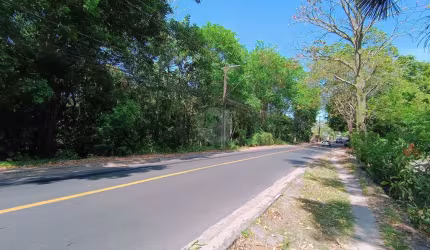 Terreno a venda no bairro Novo Aleixo, Manaus