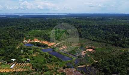 Área a venda na Estrada do Janauari, Iranduba