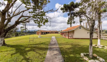 Chácara / sítio com 6 quartos à venda na Rua Basílio Lecheta, S/N, Planta Laranjeiras, Piraquara, 219615 m2 por R$ 8.000.000