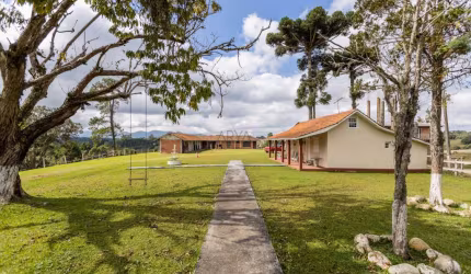 Terreno à venda na Rua Basílio Lecheta, Planta Laranjeiras, Piraquara, 219615 m2 por R$ 8.000.000