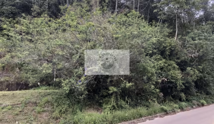 Amplo terreno em aclive com 1.758 m² na Avenida Santa Catarina - KM 4, com vegetação