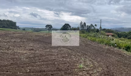 Sítio com 48.000 m², todo limpo, ótimo para plantação, analisa permuta parcial