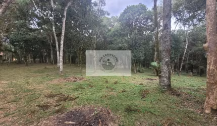 Terreno em Campo Alegre, ótimo para casa de campo, são 14.000 m²
