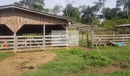 Sítio com 59.800 m2, com residência, nascente, horta