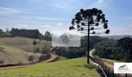 Terreno Condomínio Fechado em Campo Alegre, escriturado, aceita carro no negocio