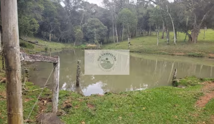 Sítio com 30.000 m², região de Serrinha em Campo Alegre/SC, apenas 1,5 km do asfalto