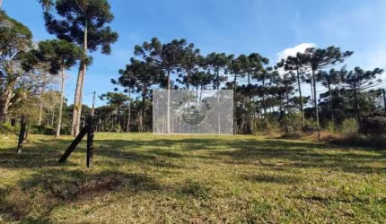 Terreno 8.142 m², escriturado, pode ser financiado pelo banco, varias opções de lotes