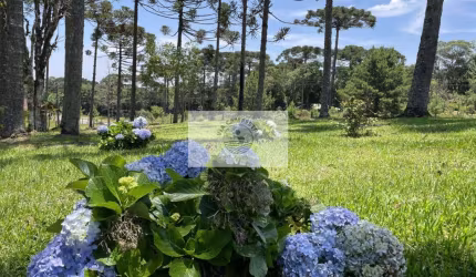 Terreno para sítio com 1.800 m², lugar alto, de esquina, frente para o asfalto