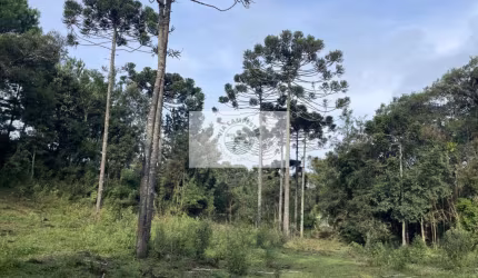 Sítio com 30.000 m², com nascente e riacho, próximo ao Sitio Cambará