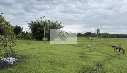 Terreno industrial, frente para o asfalto, poucos metros da BR-101, plano e limpo