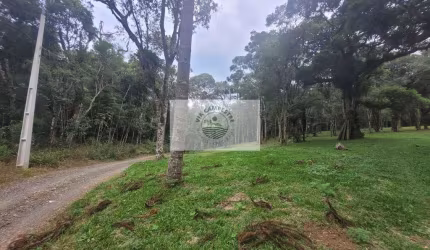 Sítio com 14.000 m², escriturado, com lago, nascente, araucárias