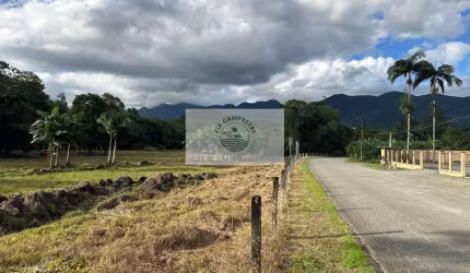 Terreno para sitio, rua pavimentada, documentação em dia, com o rio Quiriri nos fundos