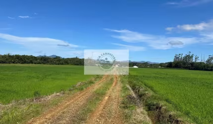 Area de arrozeira toda plana com 114.800 m², documentado, no Rio Bonito