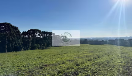 Area rural com 45 hectares,  escriturada, atrás do condominio Trilha dos Carroções