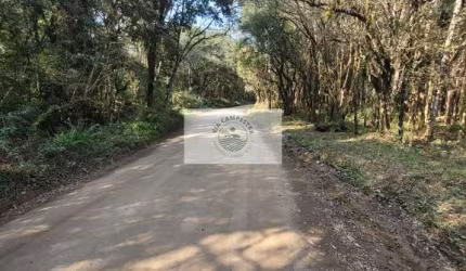 Sítio com 32.194 m², escriturado, próximo a cachoeira do salto