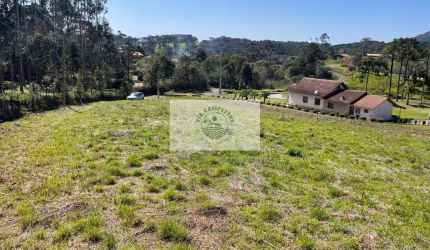 Sítio com 2.949,00 m², pronto para construir, luz ligada, em Bateias de Baixo, Campo Alegre/SC