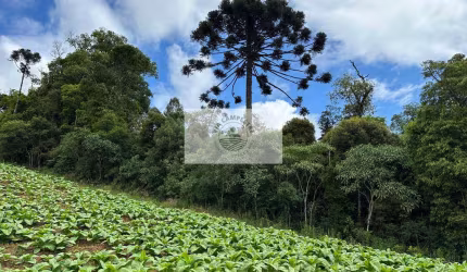 Sítio com 3.200 m², em Campo Alegre, região do Salto, IMOVEL ESCRITURADO