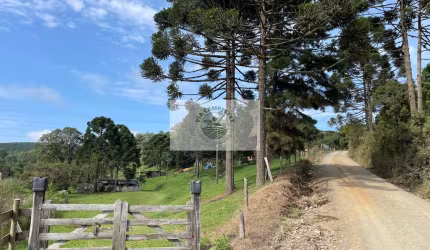 Sítio com 2.232 m2, no contrato, próximo de mercado, com lugar para fazer lago