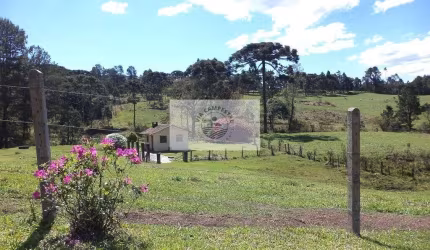 Sítio com 3.848 m², 500 metros do asfalto, com casa e riacho, lindas araucárias
